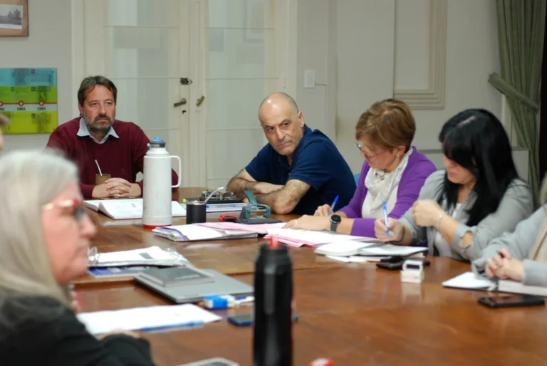 La Comisión de Transporte del HCD debatió sobre audiencias públicas y avanzó con un expediente clave