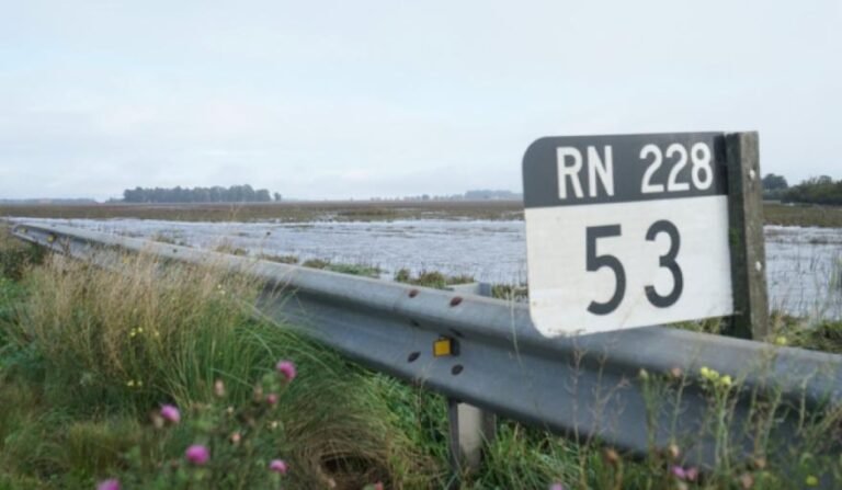Ruta 228 habilitada