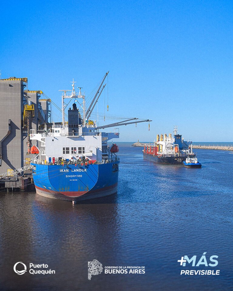 Puerto Quequén opera con 4 buques en carga y exporta granos y aceites a 14 países