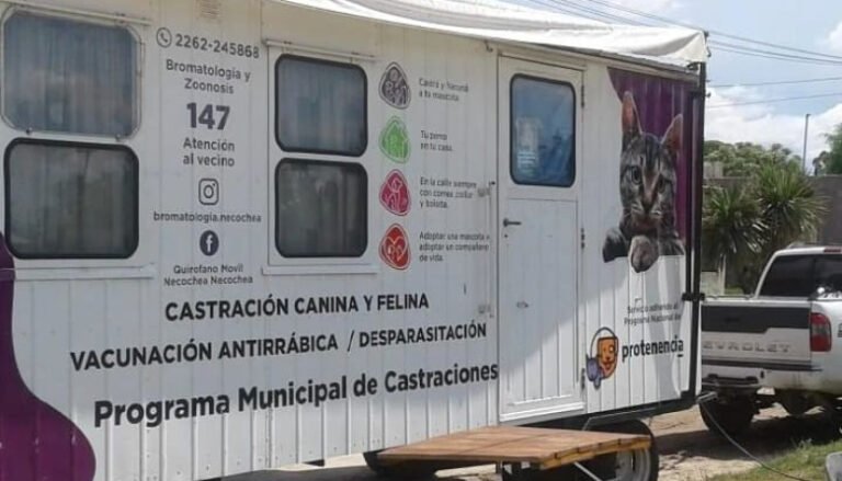 El quirófano móvil de castración se traslada a Quequén frente a la Plaza Hipólito Yrigoyen