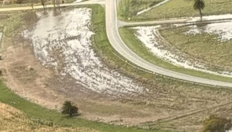 Alerta agropecuaria: productores de Necochea enfrentan pérdidas severas tras lluvias que triplicaron el promedio estacional