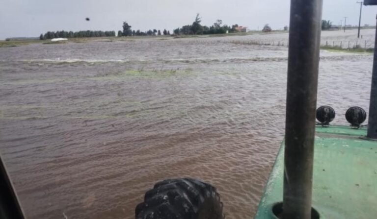 Inundaciones en zona rural de Necochea: Termas del Campo y Los Ángeles bajo el agua y caminos intransitables