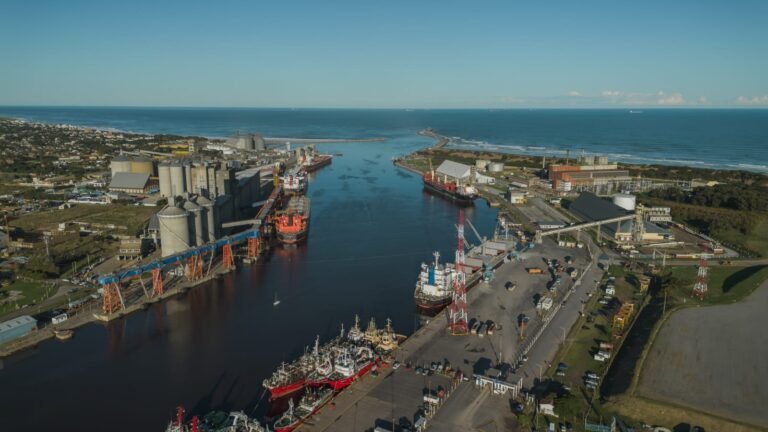 Puerto Quequén opera con 14 buques en rada y 7 anunciados: planificación estratégica sostiene el ritmo