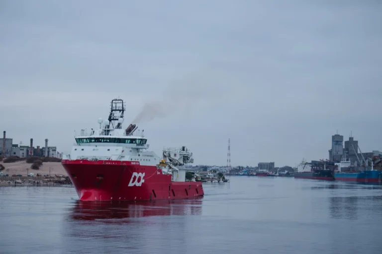 Skandi Hera parte de Puerto Quequén