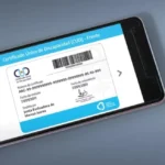 Llegaron más de 350 pases multimodales gratuitos para personas con discapacidad en Necochea