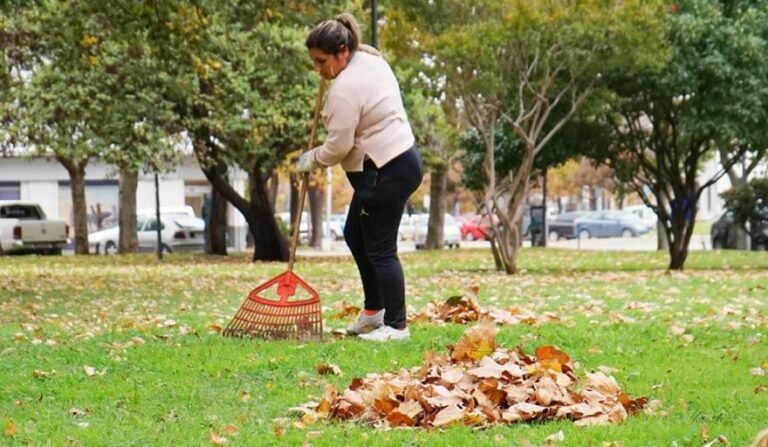 Necochea intensifica limpieza urbana con coordinación entre maquinaria y cuadrillas