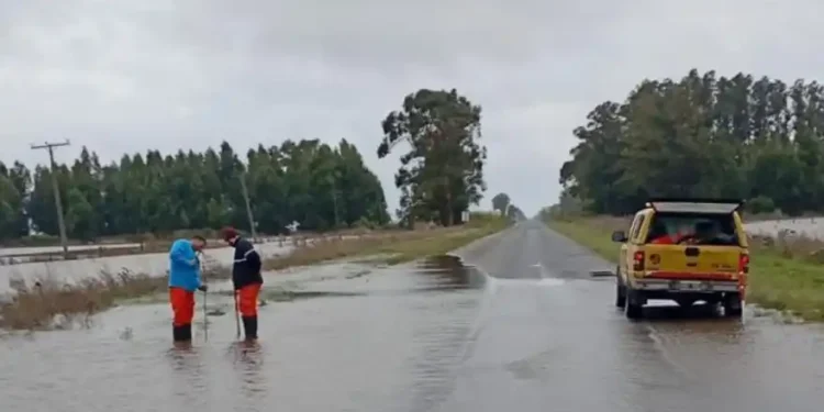 Habilitaron parcialmente el tránsito en la Ruta 228 entre los kilómetros 0 y 53 tras inspección de alcantarillas