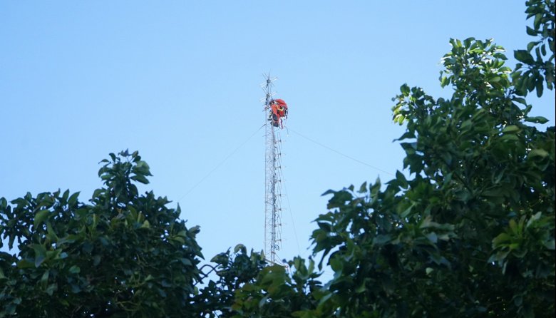 Desmantelamiento de torre en municipio