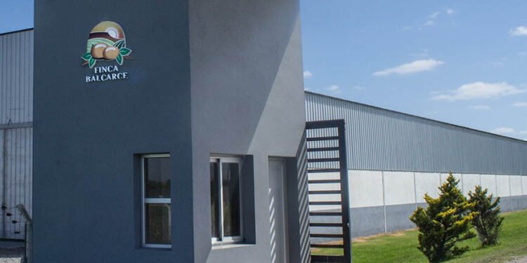 Golpe al sector productivo: Finca Balcarce cierra sus puertas definitivamente