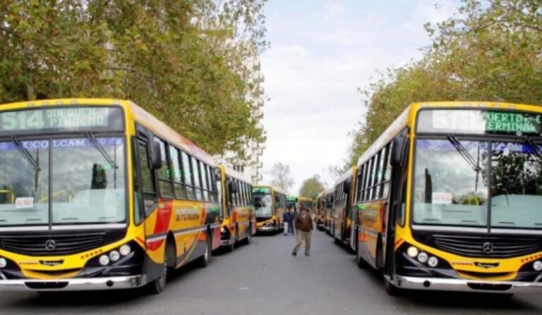 Colectivos azules retoman servicio, pero 502 y 503 de Nueva Pompeya siguen sin circular