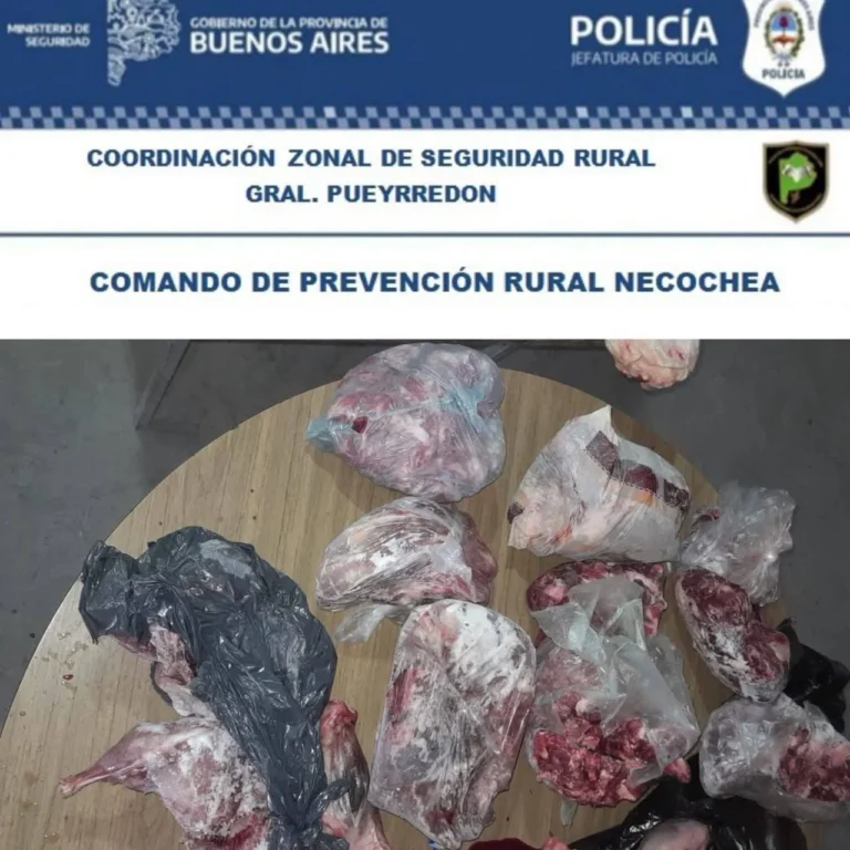 Clausuran establecimiento clandestino