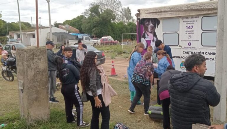 Jornada gratuita de castración masiva en Quequén