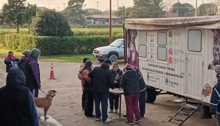 Jornada de castración masiva en Necochea