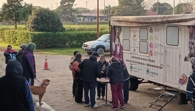 Jornada de castración masiva en Necochea