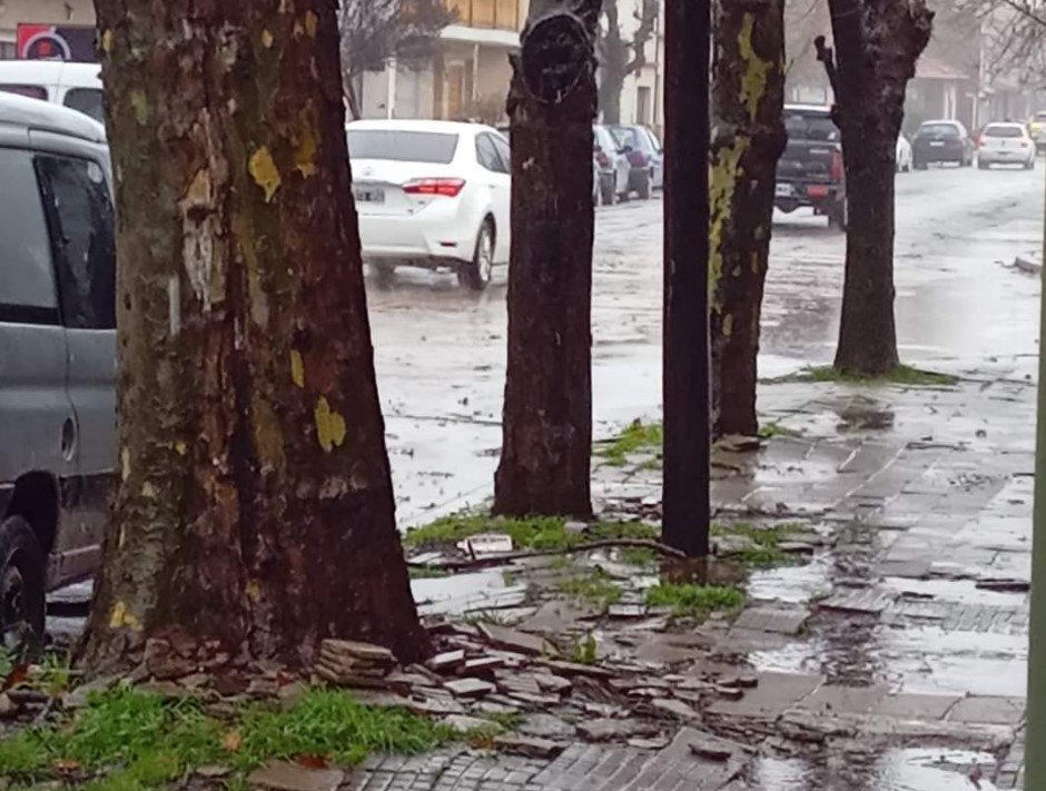 Pronóstico del tiempo para Necochea y Quequén