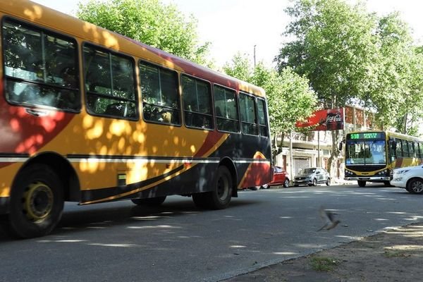 Necochea: Aumento del Boleto
