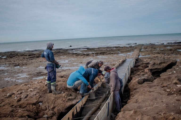 Puerto Quequén intervendrá en Punta Carballido para reparar el emisario cloacal