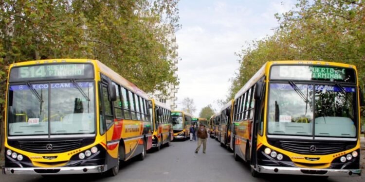 Licitación para transporte urbano: un futuro de 20 años