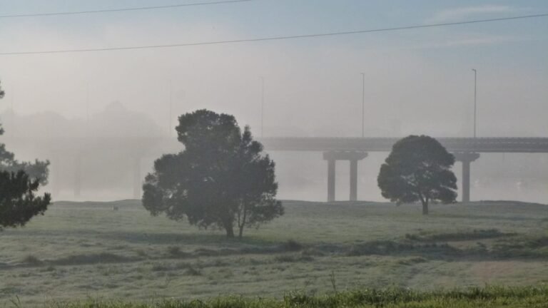 Pronóstico del clima en Necochea y Quequén