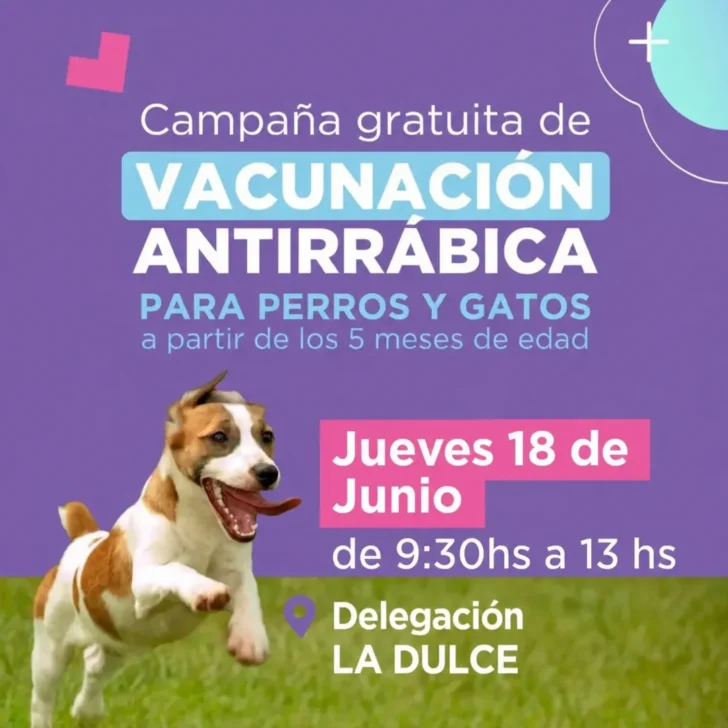 Vacunación antirrábica gratuita en La Dulce