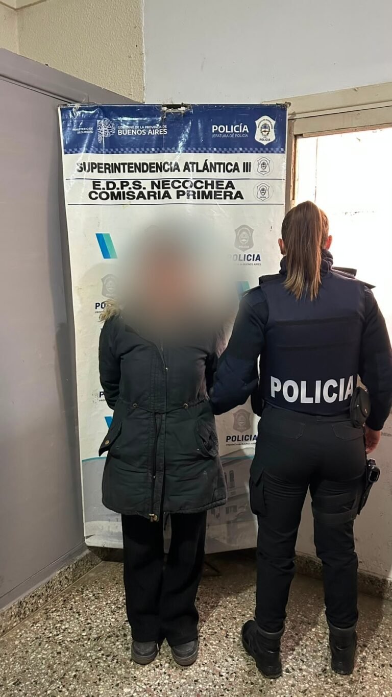 Detuvieron a los jóvenes acusados de robar en el edificio Monviso tras cuatro allanamientos