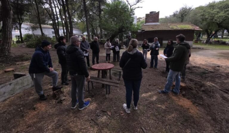 Concejo de Necochea pide explicaciones al Ejecutivo por la tala de árboles en Pinolandia