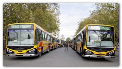 Necochea: El transporte en el centro de la preocupación