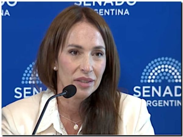 Reves para el gobierno de Milei en el Senado