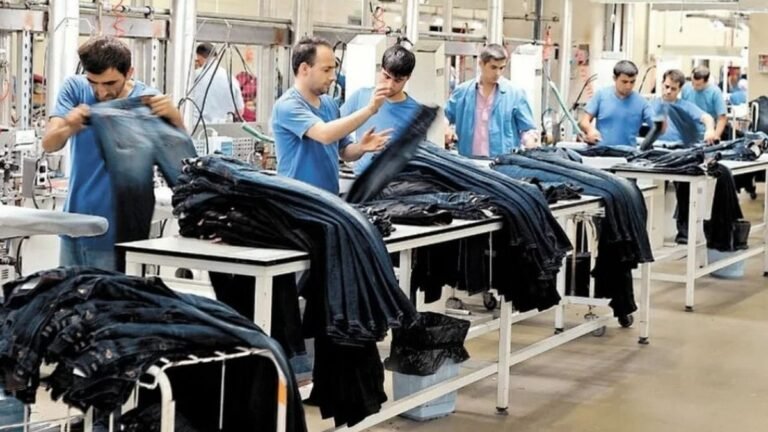 Caída de la industria argentina