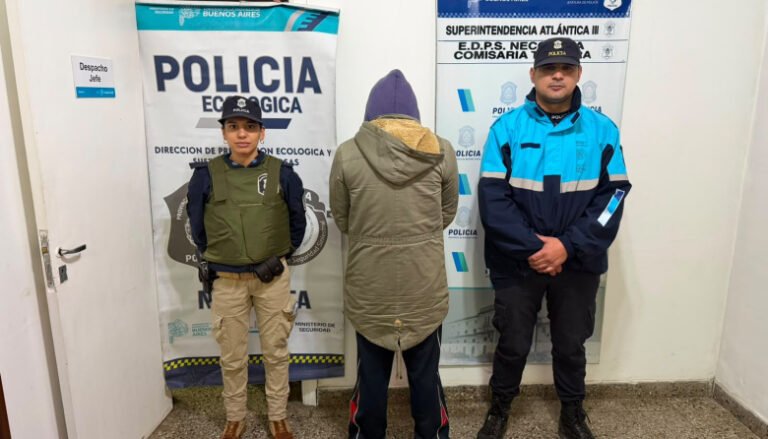 Rescatan tres pitbulls y detienen a acusado de maltrato