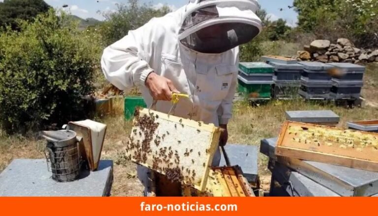 Unicen busca crear un sello de identidad para la miel de Necochea