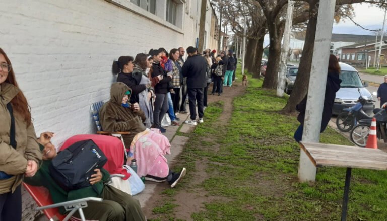 Tenencia responsable: éxito en la jornada de castración y retoma del quirófano en agosto