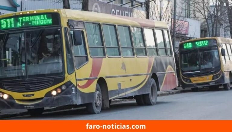 El Ejecutivo convocará a una nueva licitación del transporte urbano: ¿Qué cambios se esperan?