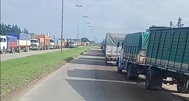 Transportistas sin poder trabajar por cambios en licencia de conducir profesional