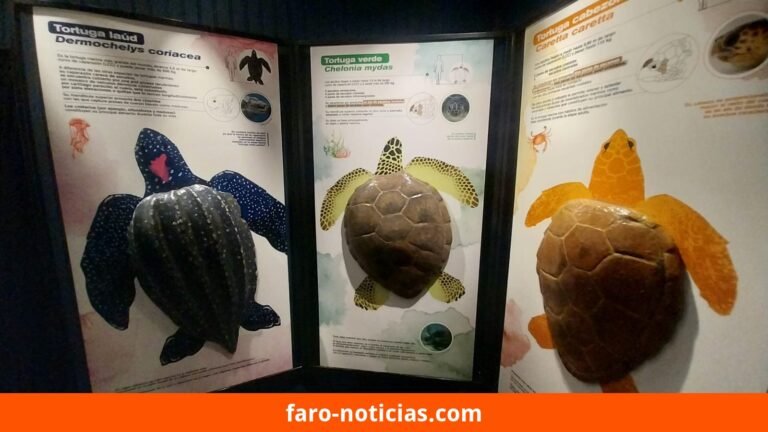 Una propuesta atractiva para aprender en familia