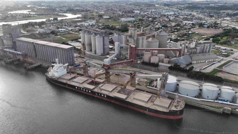 La importancia del Sakizaya Hero en el comercio marítimo de Necochea