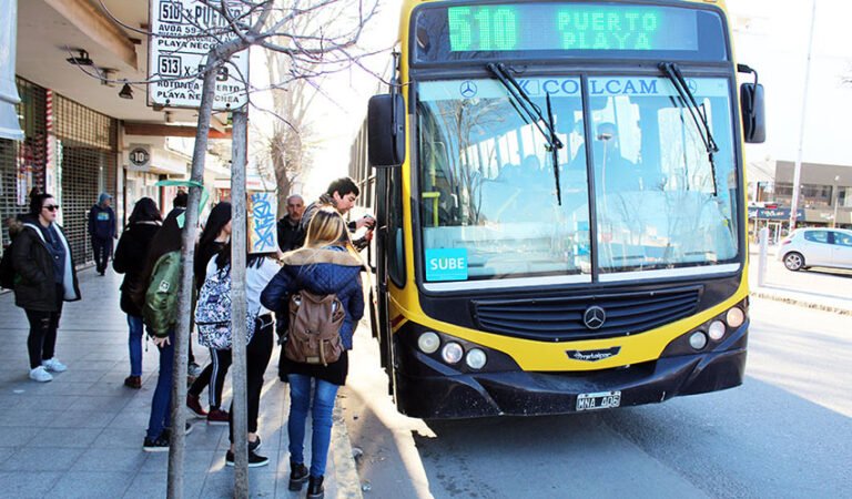 La UCR y la crisis del servicio de micros