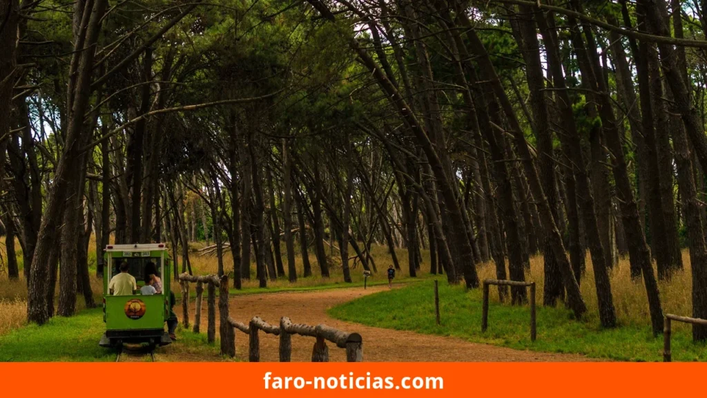 Tiempo en Necochea y Quequén