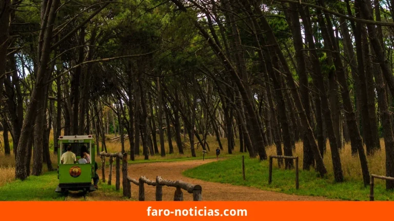 Tiempo en Necochea y Quequén