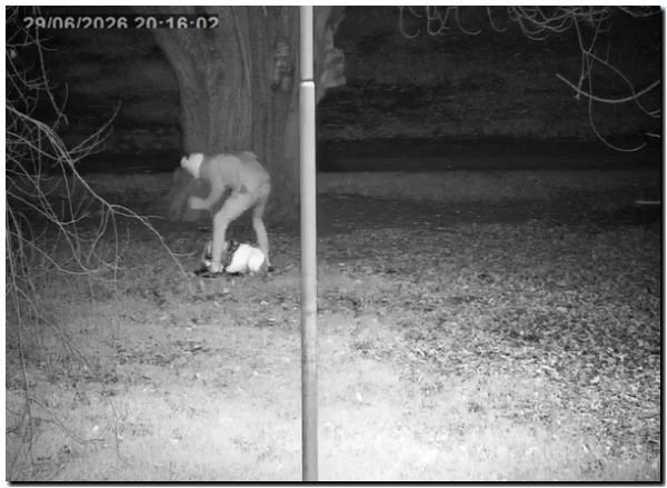 NECOHEA: Firmeza contra el maltrato animal