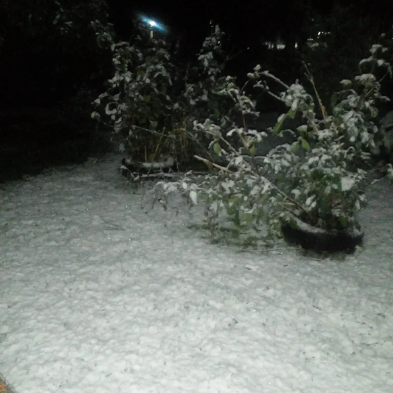 Necochea bajo alerta por frío extremo