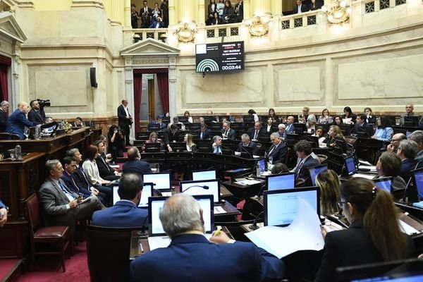 La Libertad Avanza posterga el debate de la ley de propiedad privada