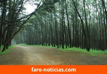 Pronóstico para Necochea
