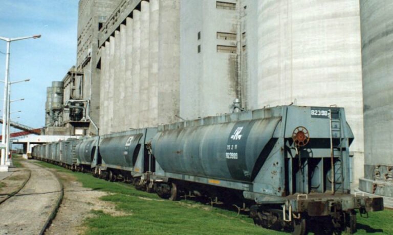 Intendentes de la región reclaman por el tren de carga