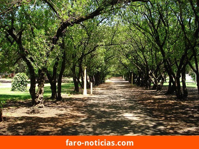 Pronóstico del tiempo para Necochea y Quequén este domingo 27/09/2026: chaparrones y ráfagas