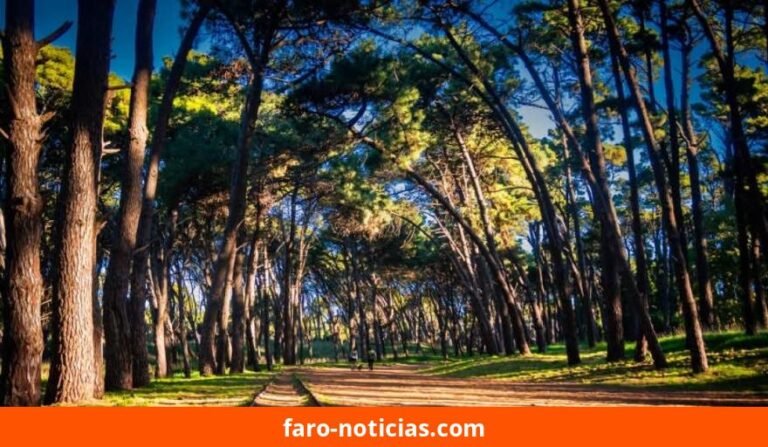 Pronóstico del 10 de septiembre: Necochea y Quequén con clima estable y temperaturas moderadas