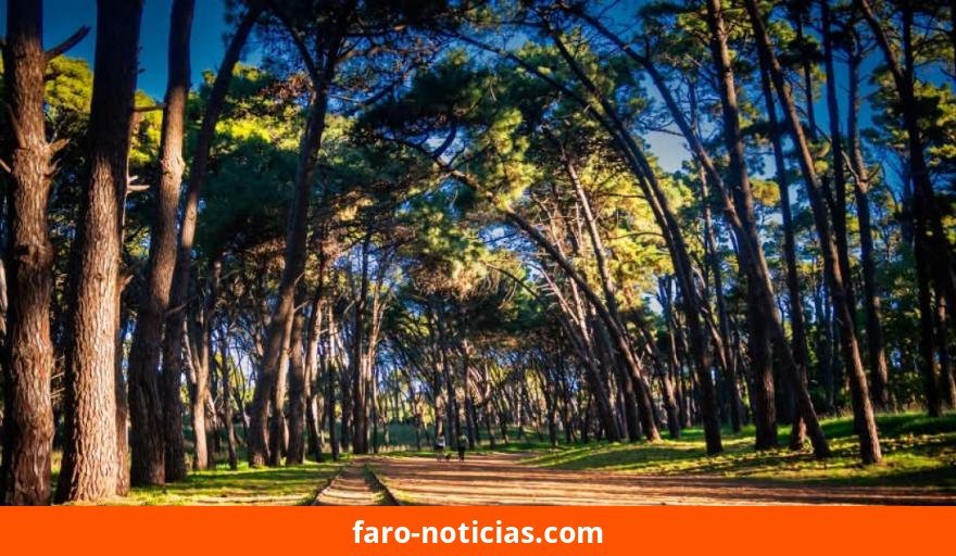 Pronóstico del 10 de septiembre: Necochea y Quequén con clima estable y temperaturas moderadas