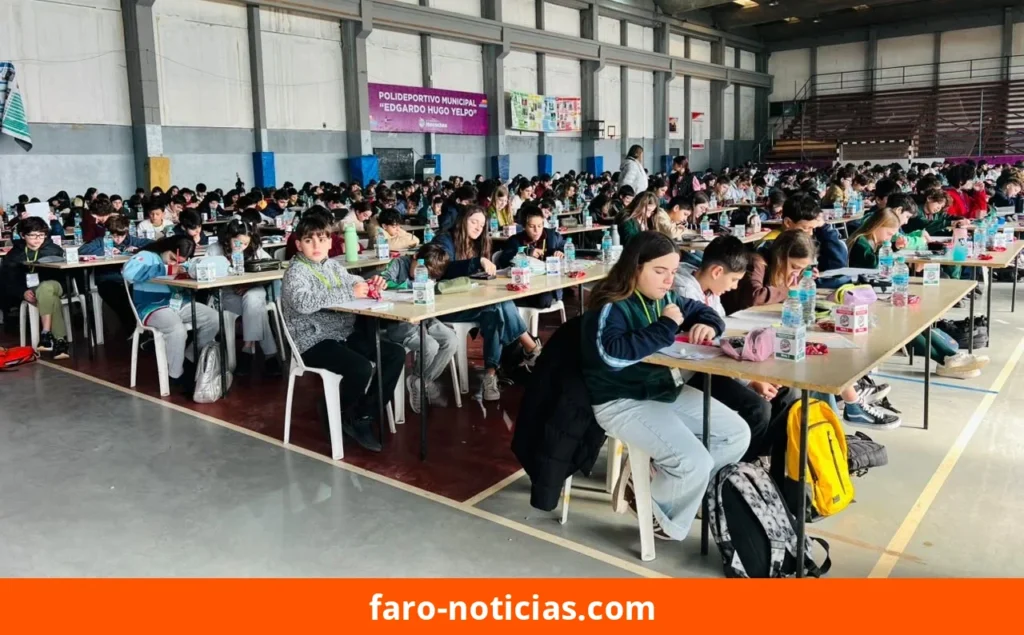 Necochea vuelve a ser sede provincial de la XLIII Olimpíada de Matemática