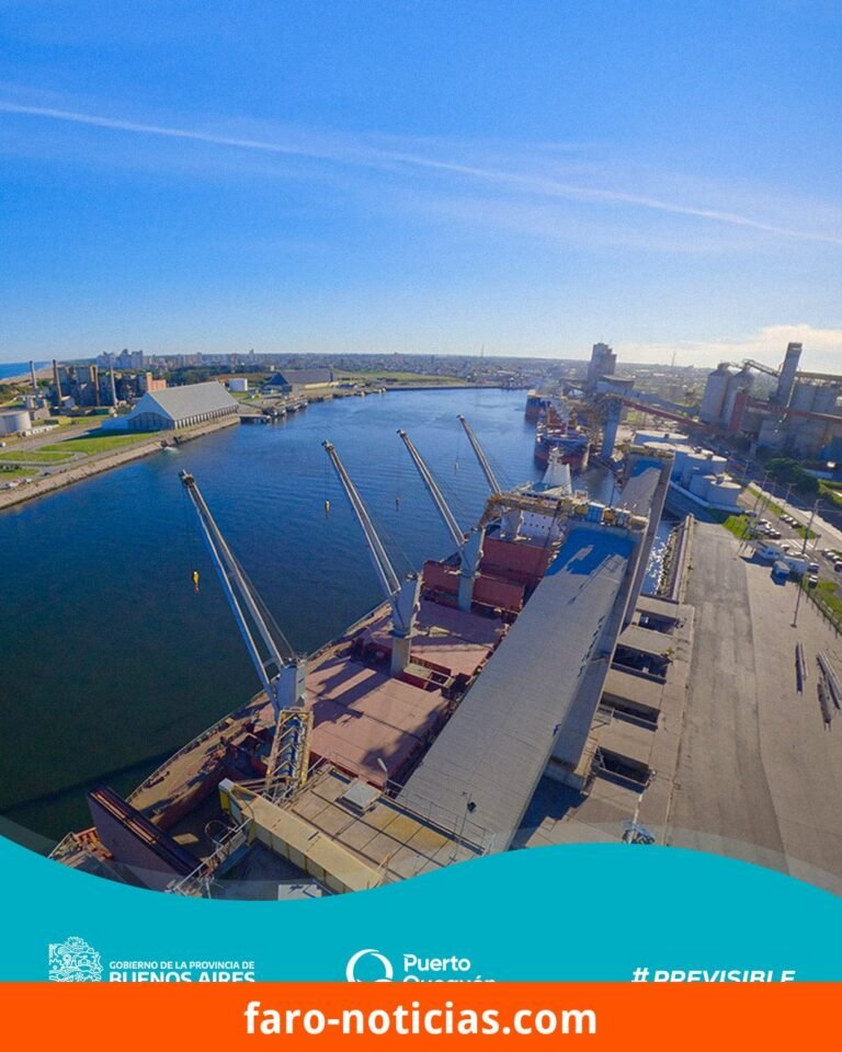 Alimentando a los gigantes de Asia: exportaciones y importaciones en los puertos de Quequén y Necochea