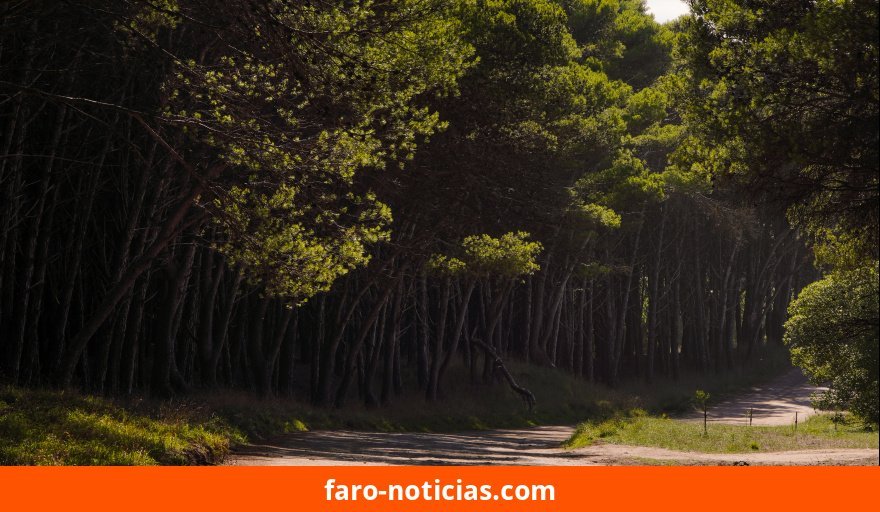 Parque Miguel Lillo abre su tercer encuentro de charlas sobre extractivismo, cultura japonesa y hongos